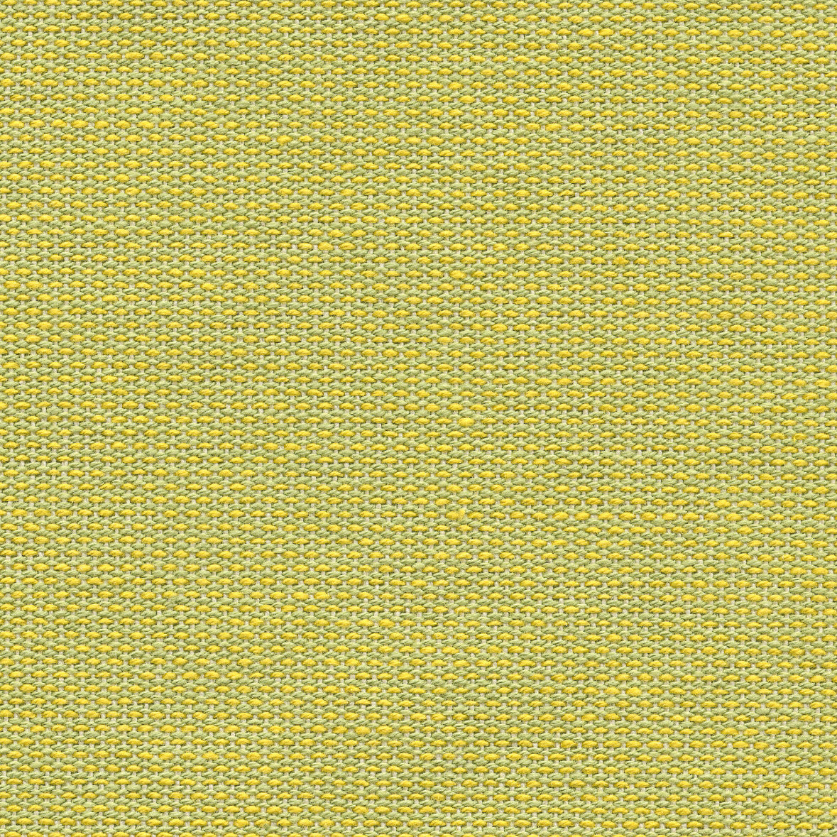 Anis Jaune Acide Indoor Cotton Fabric 180cm wide