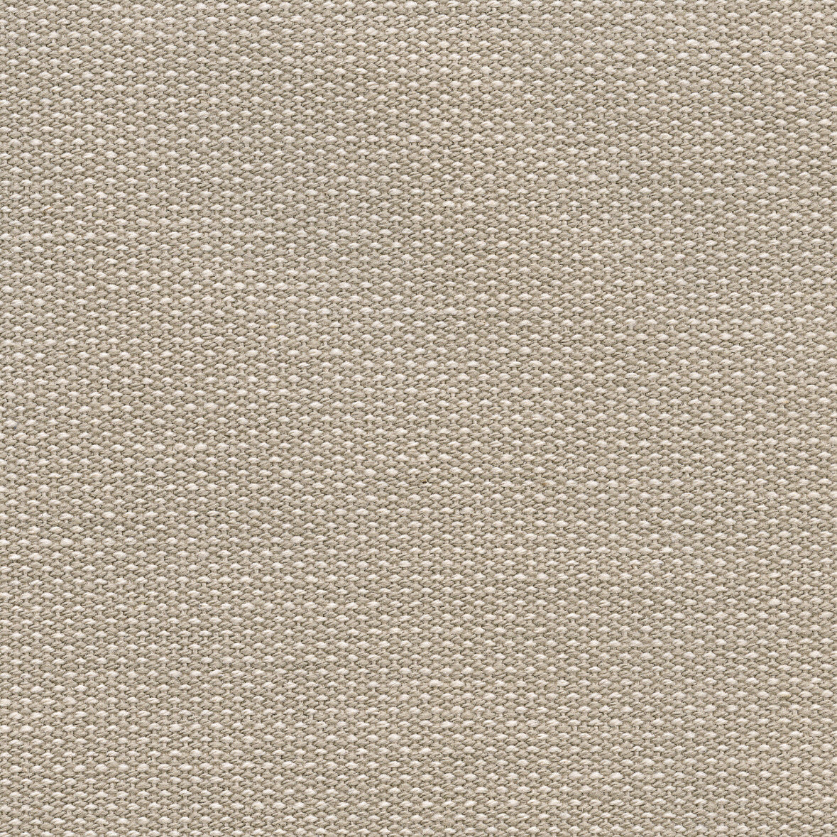 Beise Ecru Indoor Cotton Fabric 180cm wide